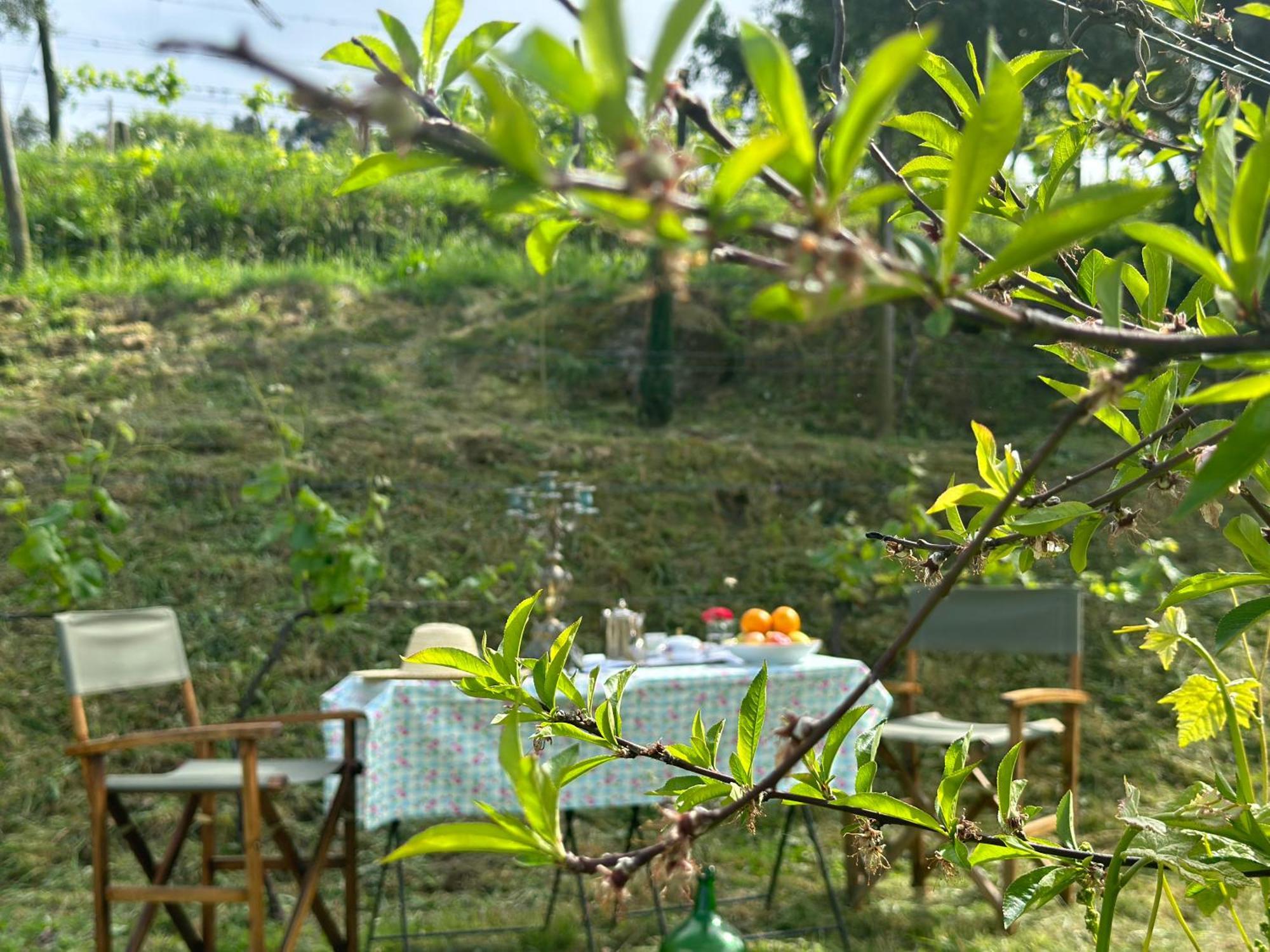 Carmo'S Boutique Hotel - Small Luxury Hotels Of The World Ponte de Lima Exterior photo